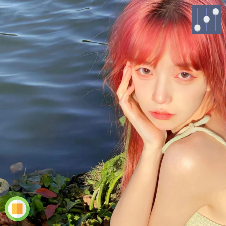 木棉